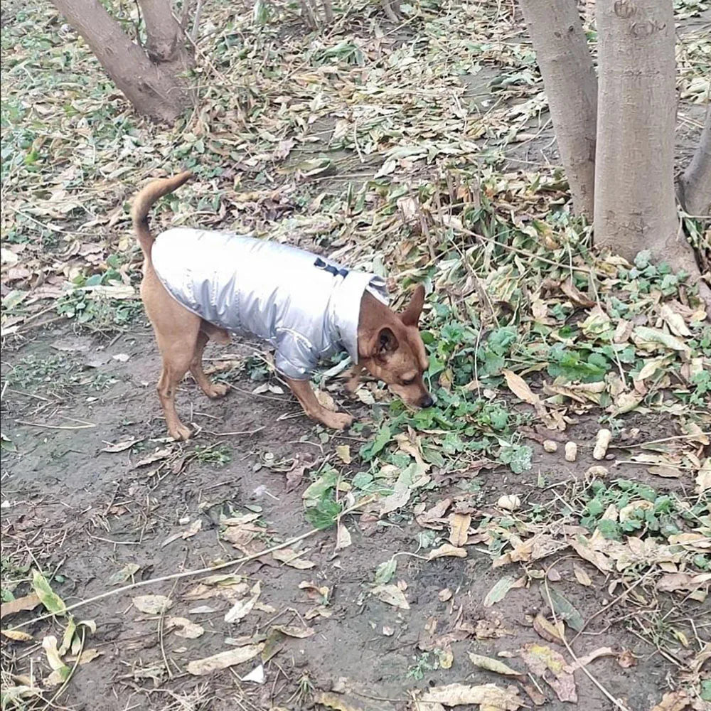 Puppy Pet Dog Clothes Outdoor Windproof Waterproof Leather Dog Coat Winter Warm Padded Jacket for Dogs and Cats in Cold Weather