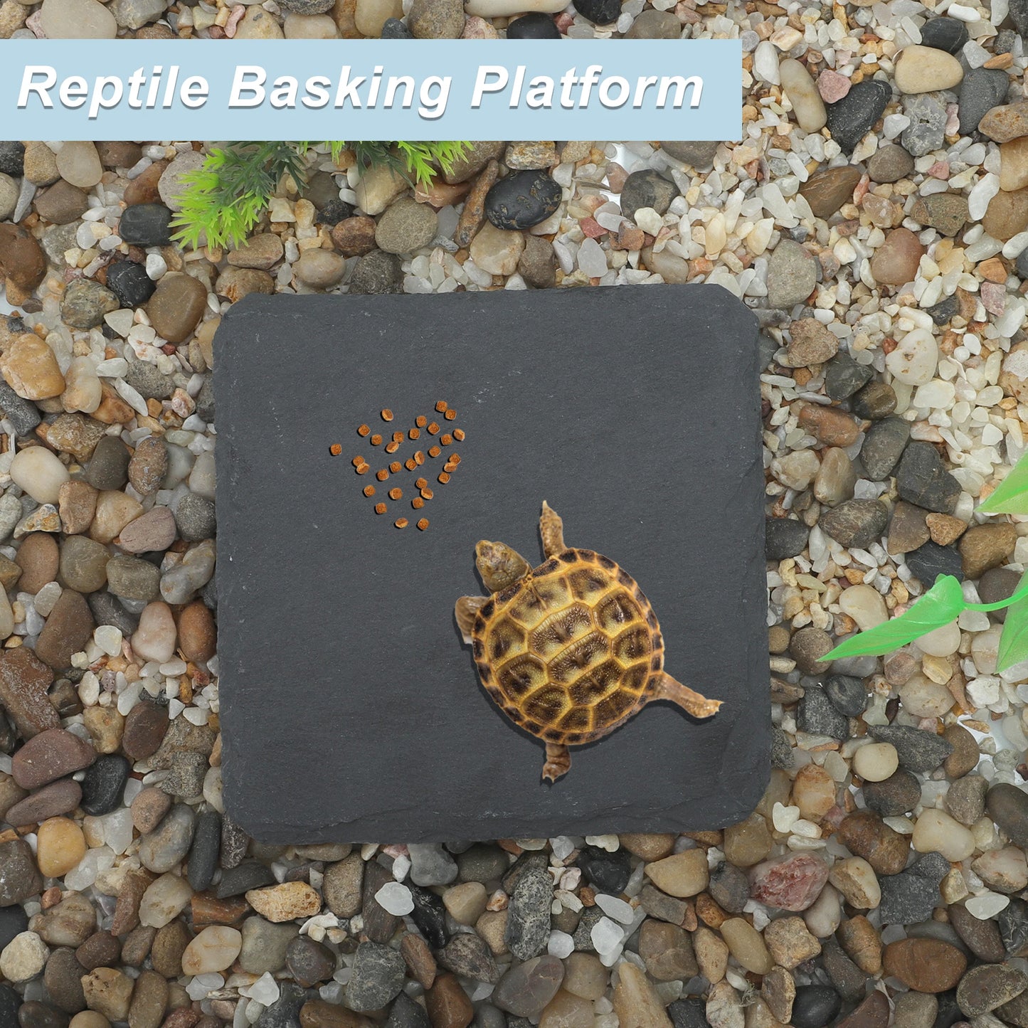 UXCELL Reptile Amphibians Basking Platform Square Habitat Slate Turtle Feeding Slate Gray Black Pet Habitat Décor