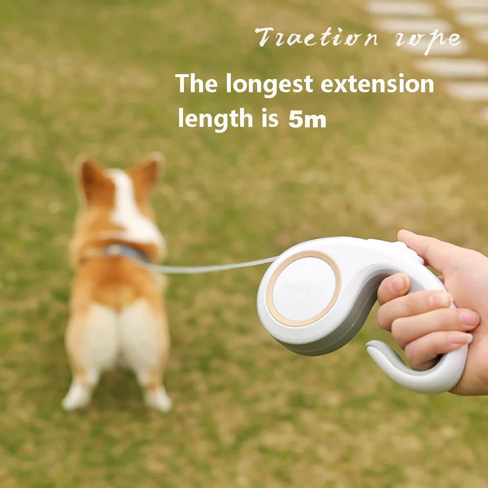 3M 5M Retractable Dog Leash Durable Nylon Pet Walking Leash Automatic Extending Dog Lead Rope for Small Medium Pet