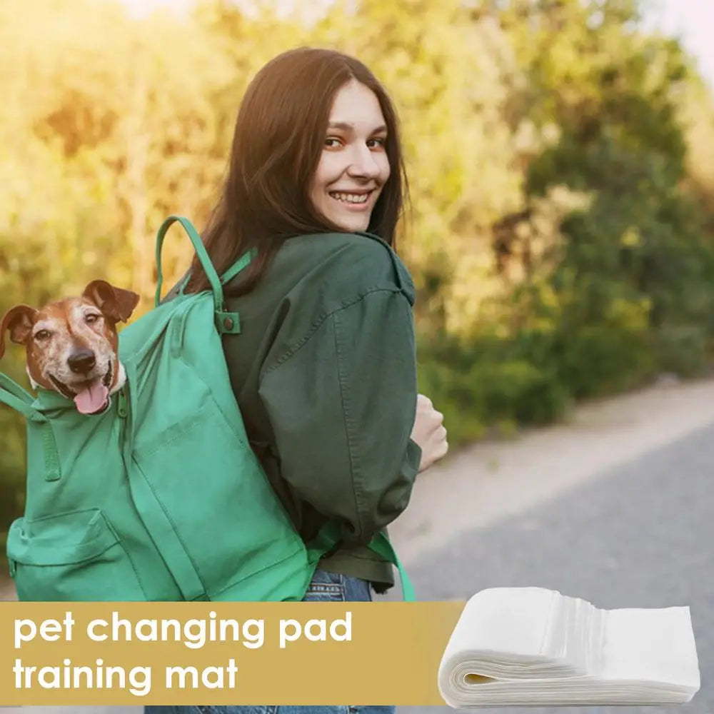 50pcs Dog Pee Pads Leak-Proof Potty Training Pads Cats Dog Diapers Waterproof Quick-Dry Pet Potty Training Pads For Doggies Cats