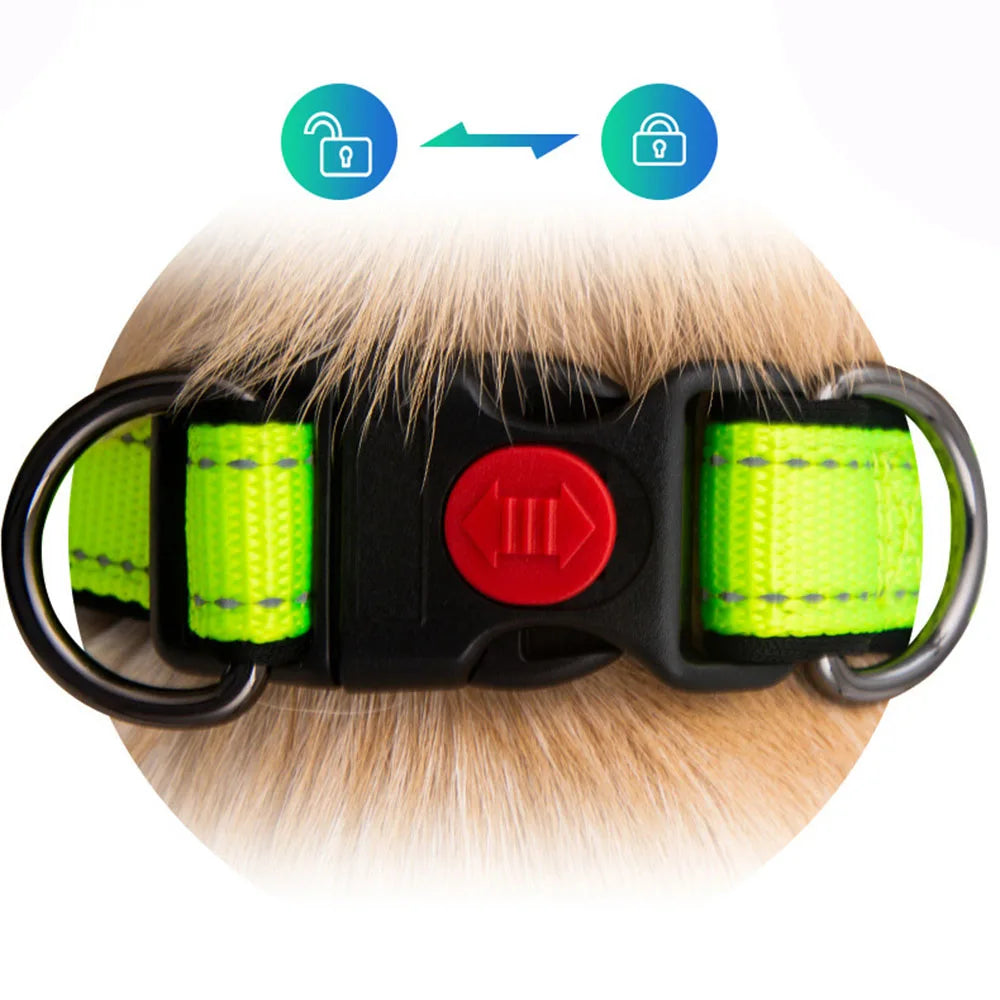 Adjustable Dog Collar Comfortable Soft Foam Padded Reflective Nylon Dog Collar with Double D Rings for Small Medium Large Dogs