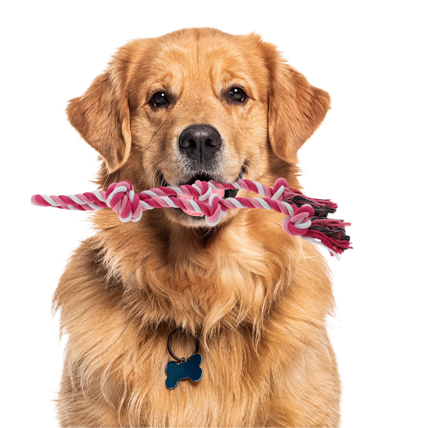 UXCELL Dog Chew Toys Knots Shape Braided Cotton Teeth Cleaning Rope Casual Puppy Bite-resistant Chewing Rope Pet Products