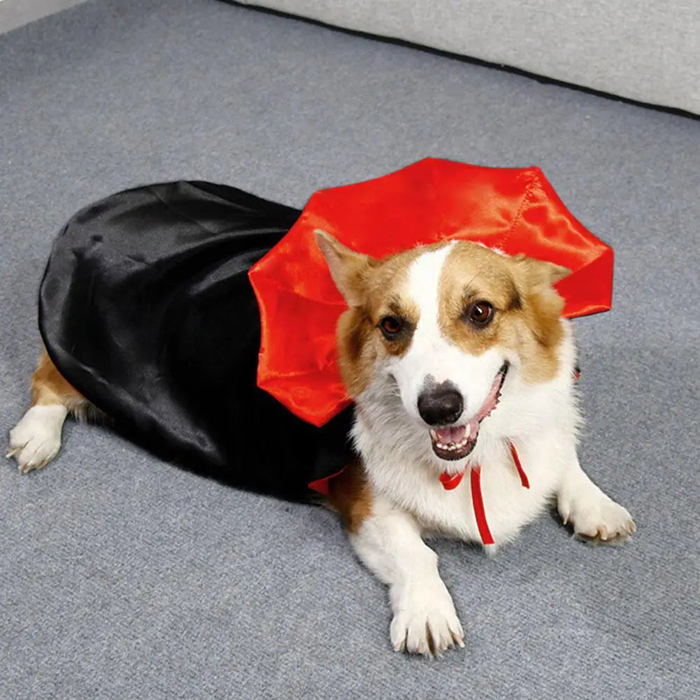 Pet Halloween Pet Costume Cape Hat Cat Dog Transformation Costume Christmas Dress Up Creative Holiday Atmosphere Decoration