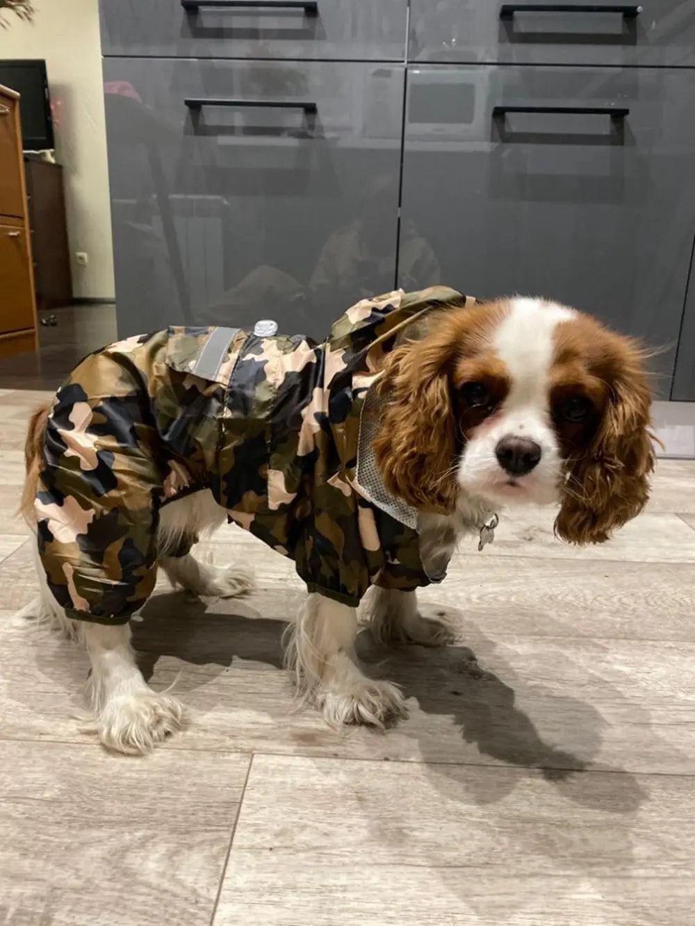 Dogs Raincoat Adjustable Puppy Dog Raincoat Waterproof 4 Legs Raincoat for Small Dogs Outdoor Pet Poncho with Reflective Strap