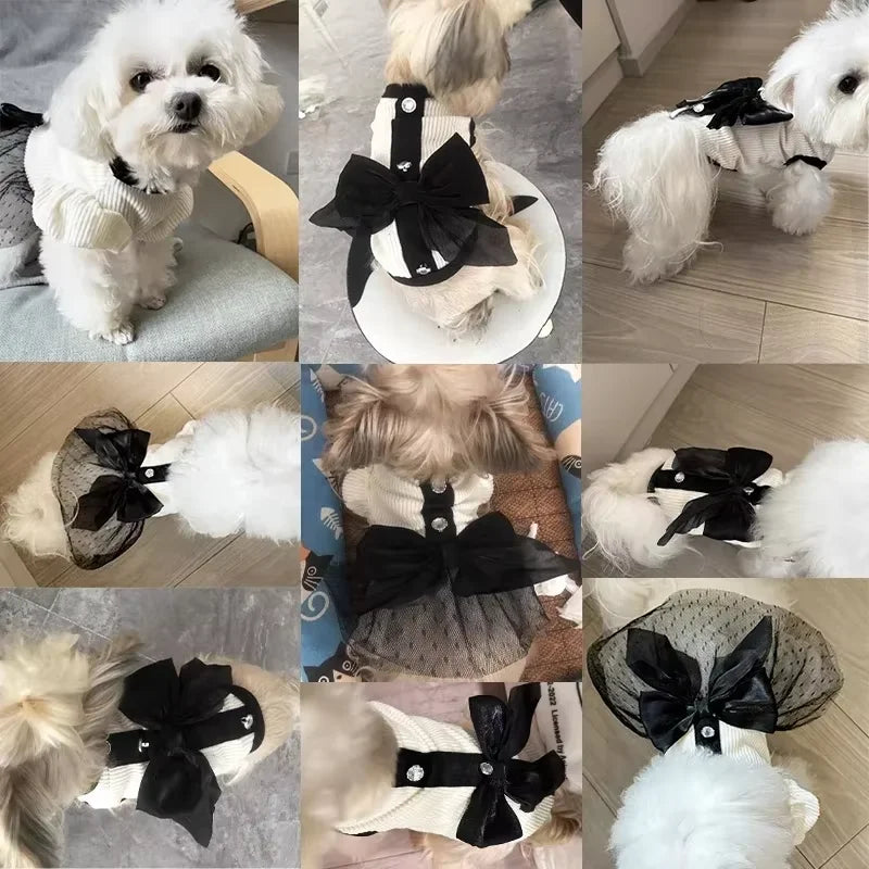 Dog Princess Dress Summer Dog Clothes for Small Dogs Pet T-Shirt Black Lace Retro Puppy Skirt Chihuahua Bichon Girls Dog Costume