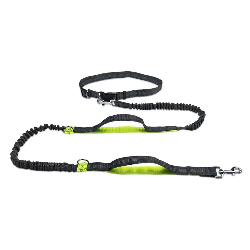 Retractable Hands Free Dog Leash for Running Judge Leash Large Dog Pet Supplies