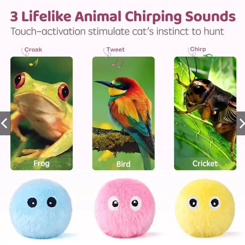 Smart Interactive Ball Cat Toys Automatic Bouncing Rolling Ball Cat Mint Ball Sound Grinding Bite Resistant Cat and Pet Products