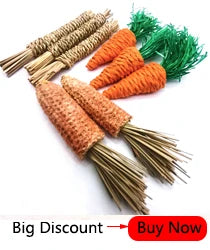 10/20Pcs Natural Loofah Slice Tooth Grinding Cleaning Chew Toy Small Pets Toys For Hamster Rabbit Grinding Products High Fiber