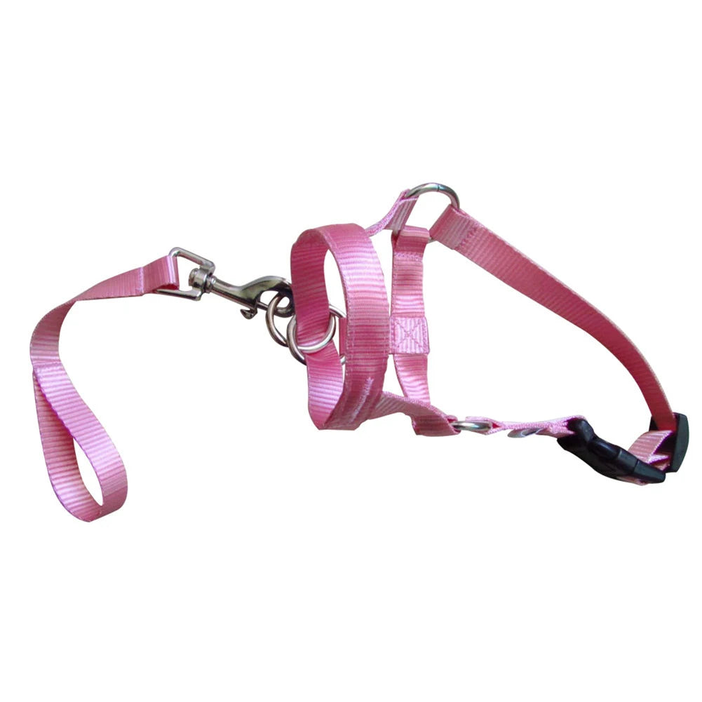 Nylon Dog Muzzle for Small Medium Large Dogs Adjustable Anti Barking Biting , Control Pet Leader Dog Head Collar Halter Leash