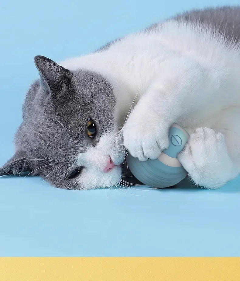 Funny Cat Ball Pet Toy Ball Gravity Rolling Ball Cat Self-Happiness Ball Bite-resistant and Boredom Relieving Automatic Rolling