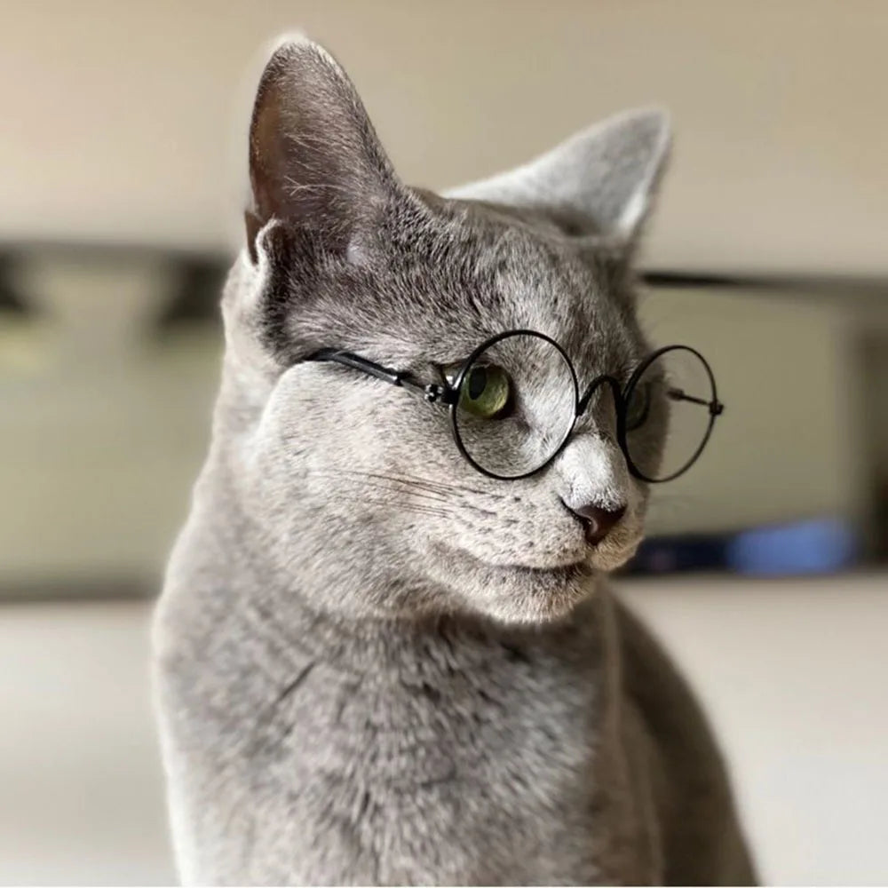 Anti-slip Cat Sunglasses Pet Accessories Small Dog Sun Glasses Classic Retro Circular Glasses for Kitten Photos Props Cosplay