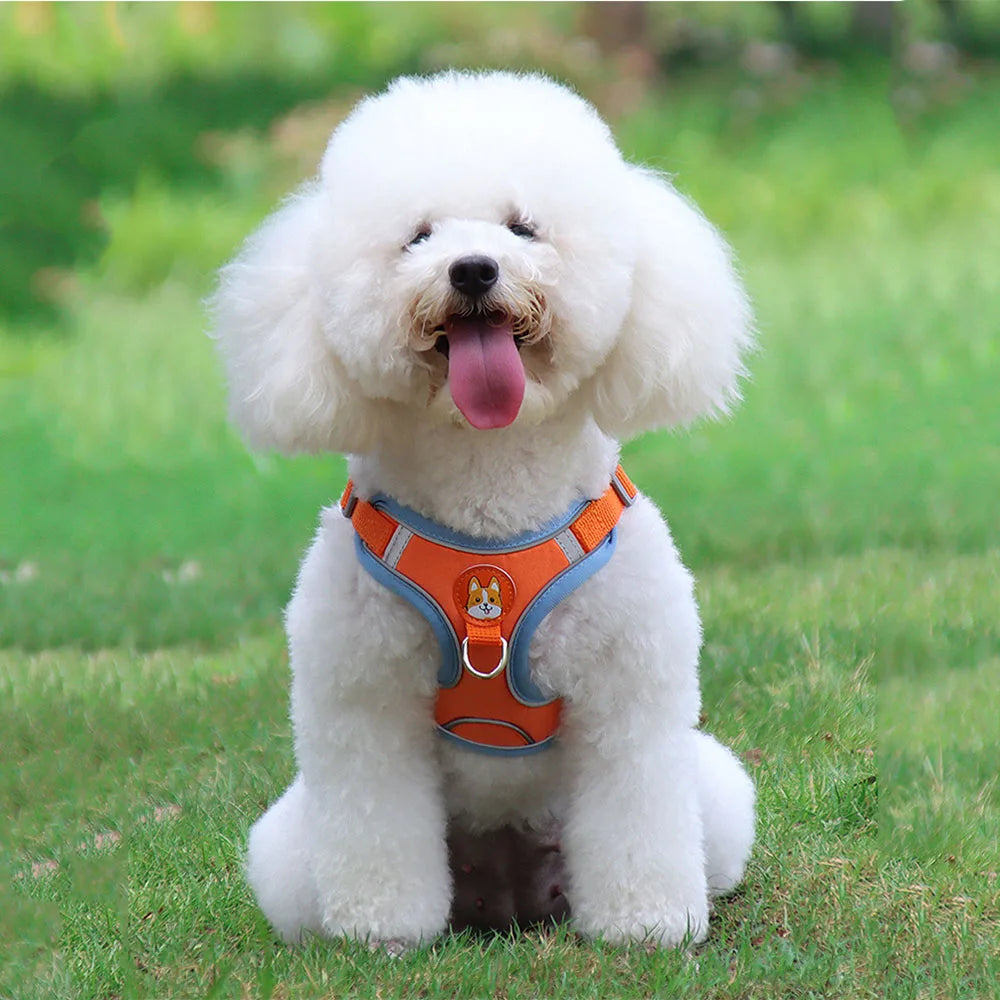 Step-in Dog Harness Small Dog Harness and Leash Set Adjustable Reflective Pet Dog Vest Soft Harness for Puppy Small Medium Breed