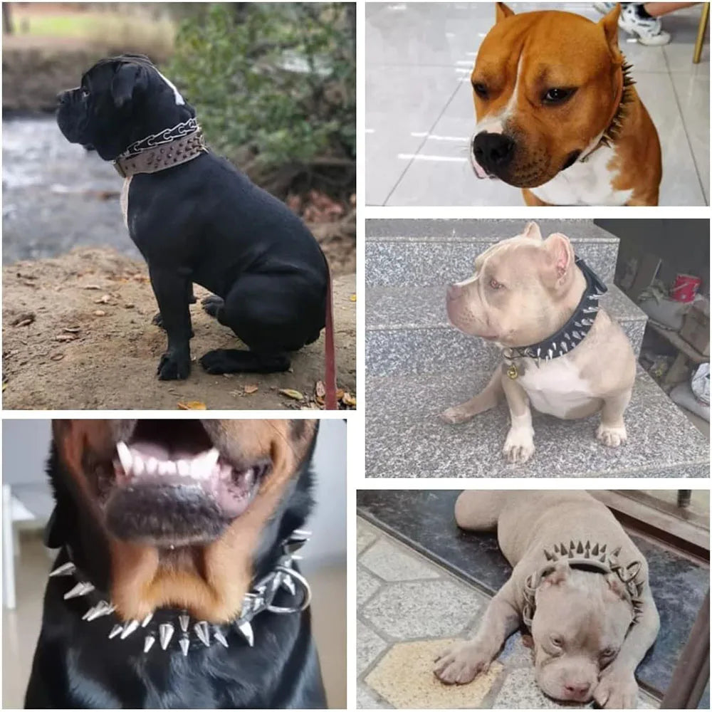 Spike Dog Collar with Big Sharp Spikes for Large Dogs Adjustable PU Leather Spiked Collar Luxury 2 Inch Wide Studded Dog Collars