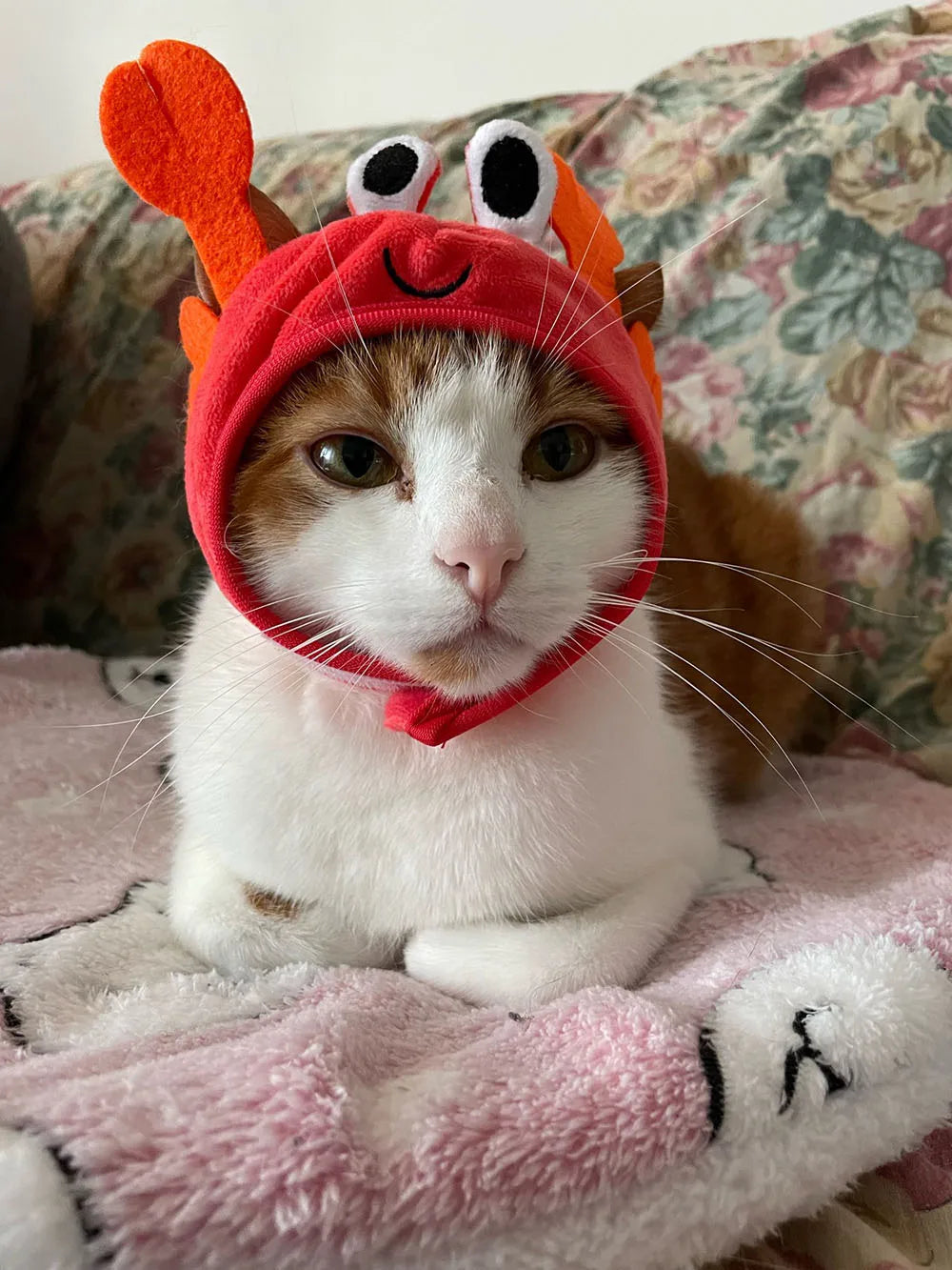 Cute Pet Hat Small Dog Cat Hat Easter Bunny Hat Crab Lobster Frog Cap Pet Party Costume Accessories Headwear for Cat Kitten Pug