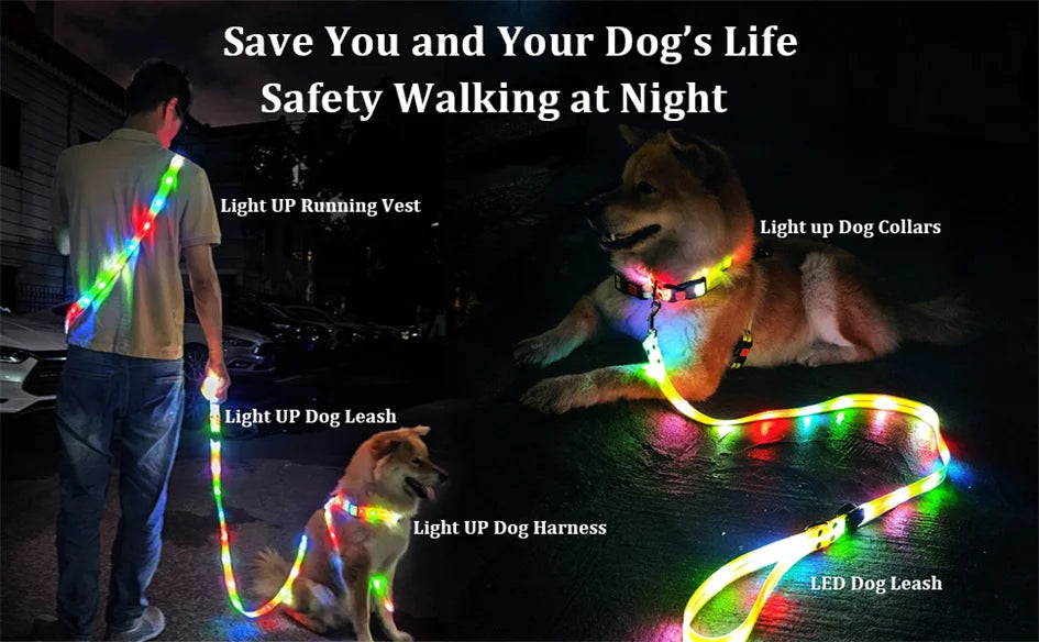 Led Light Up Dog Leash Walking Safety Glow in The Dark USB Rechargeable Adjustable for Large Medium Small Pet Lighted Dog Collar