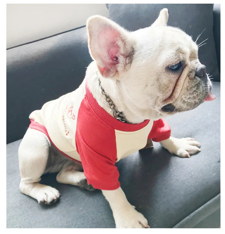 2022 Spring and Autumn New Style Pet Parent-child Clothing Bichon Cat Clothes Embroidered Dog Costumes