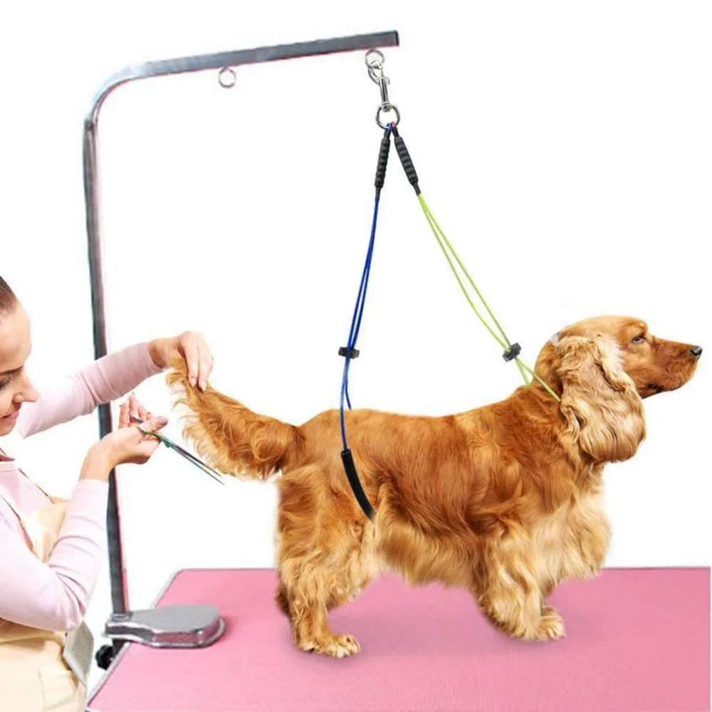 Dog Grooming Loop Noose Wash Choker for Pet Bathing and Grooming Durable Steel No Sit Haunch Holder Grooming Restraint for Dogs