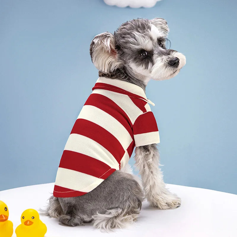 Striped Pet Polo Shirt Summer Dog Clothes for Small Dogs Cotton Puppy Vest Chihuahua Bichon Costume Cat T Shirt Dog Undershirt