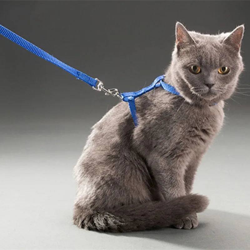 Adjustable Pet Cat Collar For Cats Cozy Nylon Rabbit Kitten Kedi Harness Leash Set Small Puppy Dog Cat Accessories Pet Products
