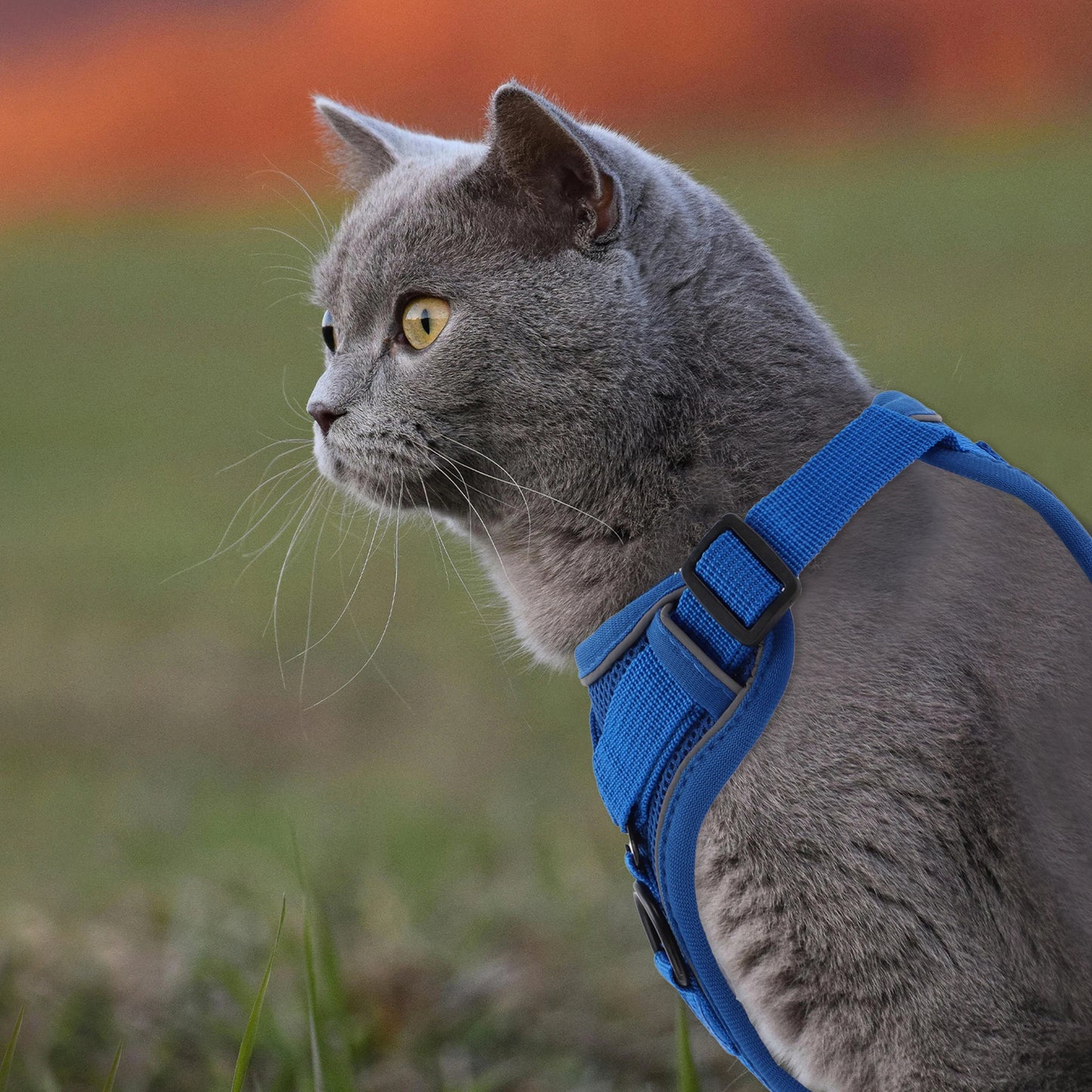 UXCELL Cat Harness and Leash Set Adjustable Vest with Reflective Strips Escape Proof for Cat and Small Dog Outdoor Hiking