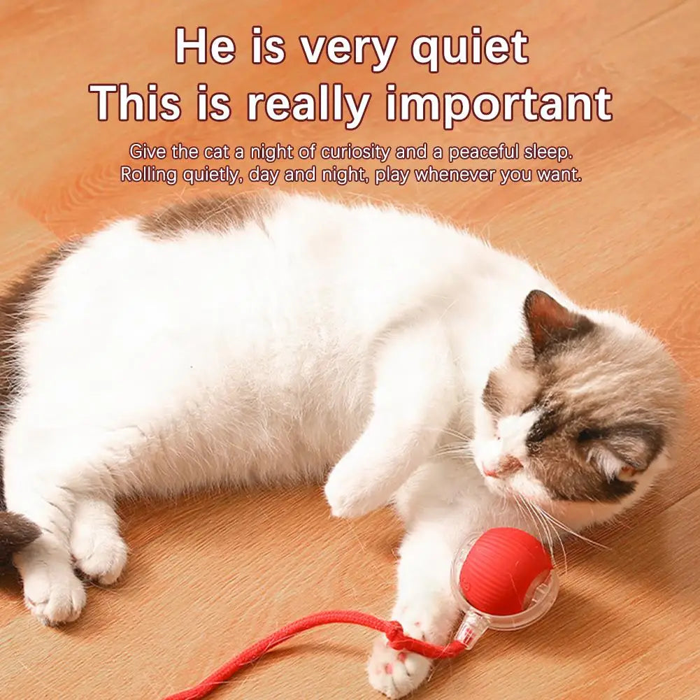 New High-end Cat Rolling Ball Interactive Cat Toy Motion Tail Bird With Teaser Game Pet Chirping Long Toy Kitten Sensor Cat
