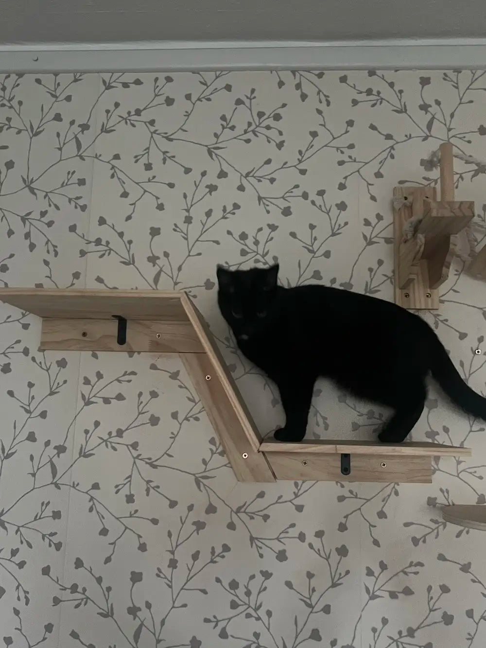 Cat Tree Tower Cat Climbing Shelf Wall Mounted Steps Curved Cat Bed Widen Access Corner Perches Hammock For Sleep Pet Furniture