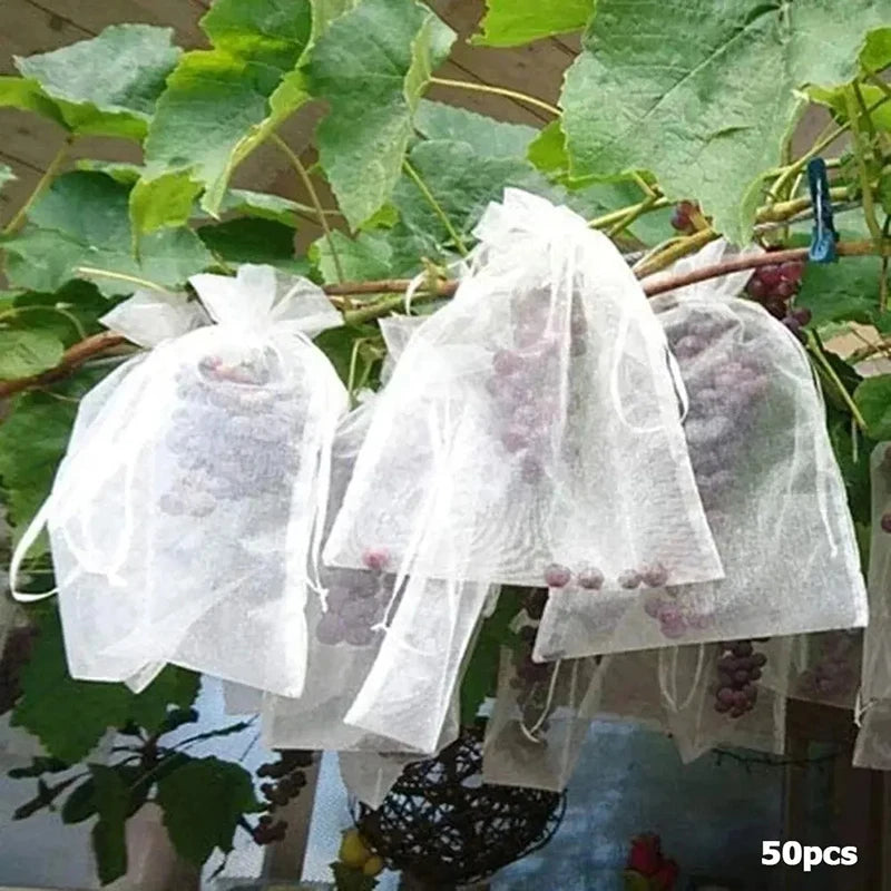 50pcs Fruit Protection Bags Anti-Bird Garden Netting Bags Strawberry Grapes Mesh Bag Plante Vegetable Netting Cover Garden Tool
