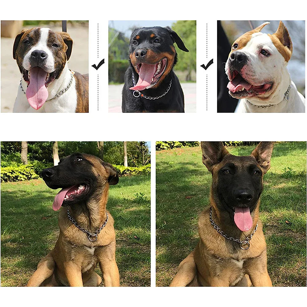Dog Choke Collar Chew-proof Metal Dog Slip Chain Pinch Collars for Small Medium Large Dogs Training Obedience Pet Chain Collar