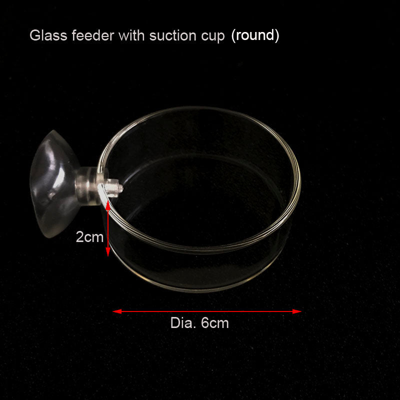 Transparent Aquarium Fish Tank Shrimp Food Feeding Circle Glass Feeder Floating Bottom Feeder Fish Shrimp Aquarium Accessories