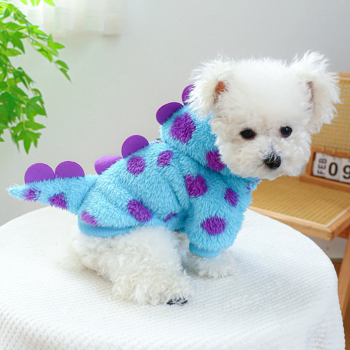 Pet circle, dogs, cats, clothes with plush insulation, comfortable short style, flower dinosaur