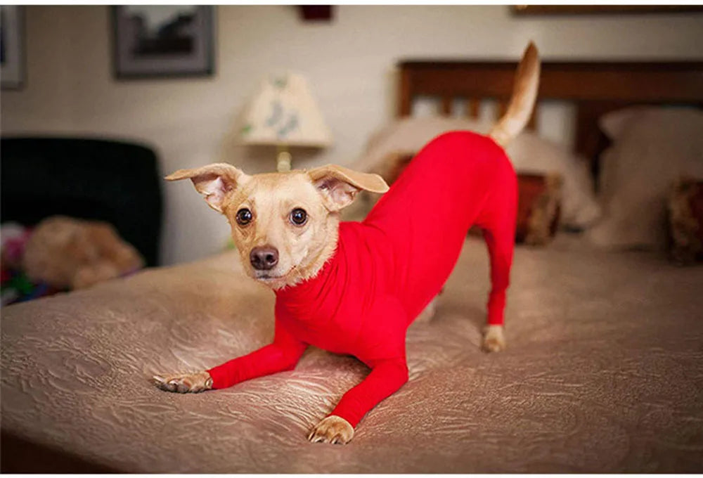 Dog Onesie Clothes Shedding of Dog Hair for Home Car Travel Anxiety Calming Shirt Surgery Recovery Body Jumpsuit for Large Dogs