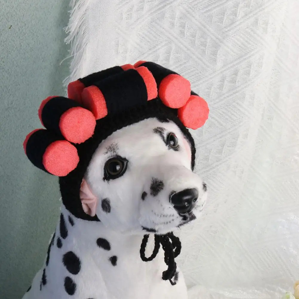 Cute Creative Pet Headdress Halloween Atmosphere Sense Wig Funny Pet Hat Pet Fashion Fun Curly Hair Photo Styling Headband Pet T