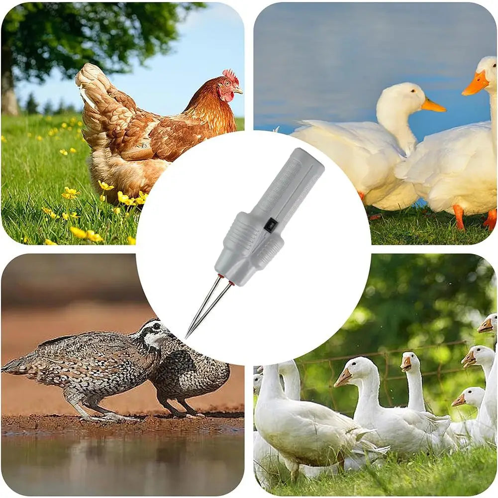 Electric Hair Removal Tool For Chicken, Duck And Goose Handheld Poultry Tweezers Pig Hair Clip Hair Removal Tool Waterproof