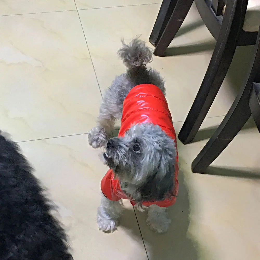 Puppy Pet Dog Clothes Outdoor Windproof Waterproof Leather Dog Coat Winter Warm Padded Jacket for Dogs and Cats in Cold Weather