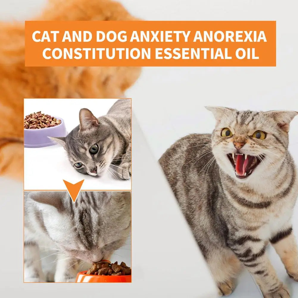 Pet Calming Drops Prevent Howling Reduce Anxiety Remove Enhance Chew Anxiety Cat Stress Anti Fitness Anti Dog Liquid Physic K0T5