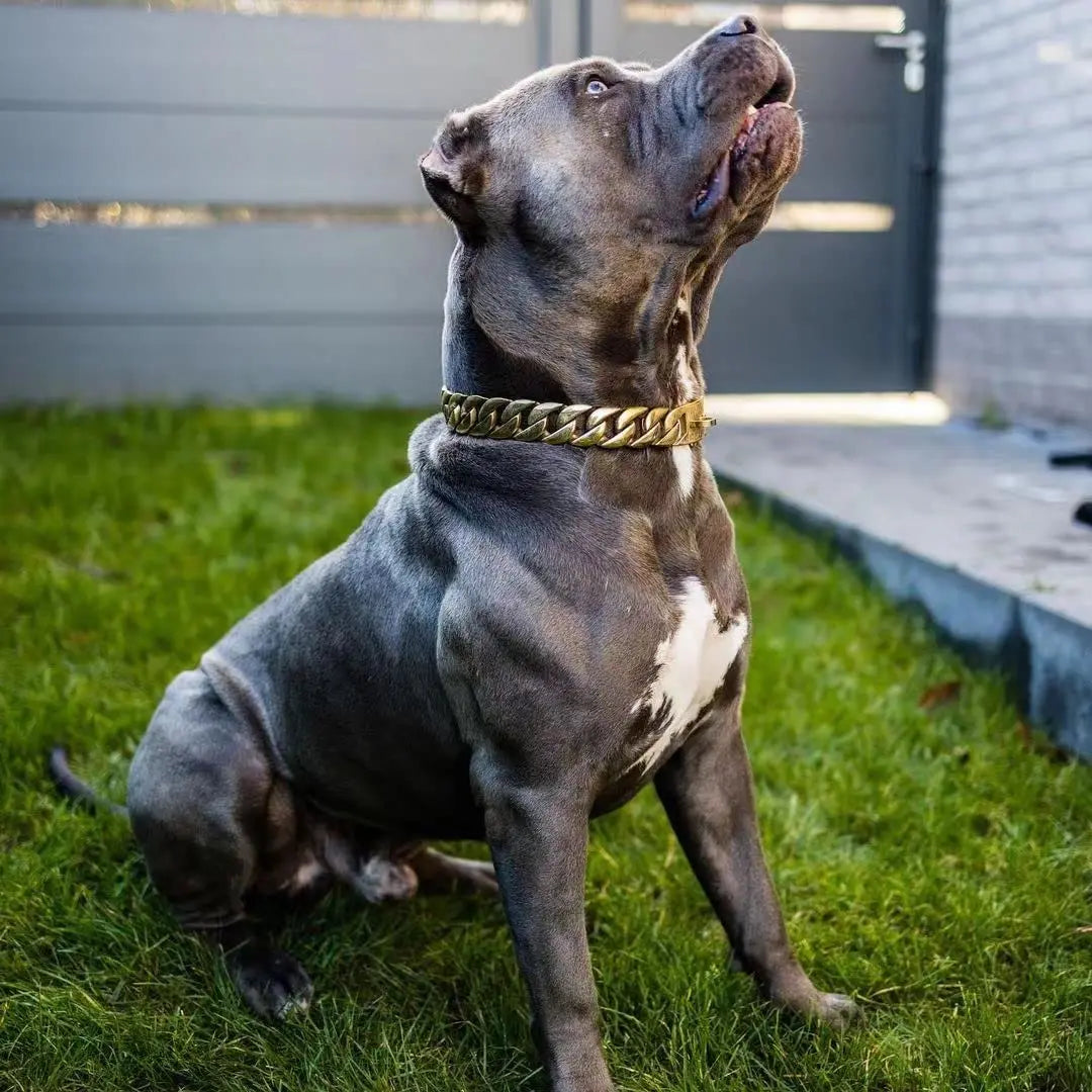 Strong 32mm Wide Gold Dog Chain Collars Heavy Stainless Steel Dogs Choker Pitbull Gold Dog Necklace For Large Huge Dogs