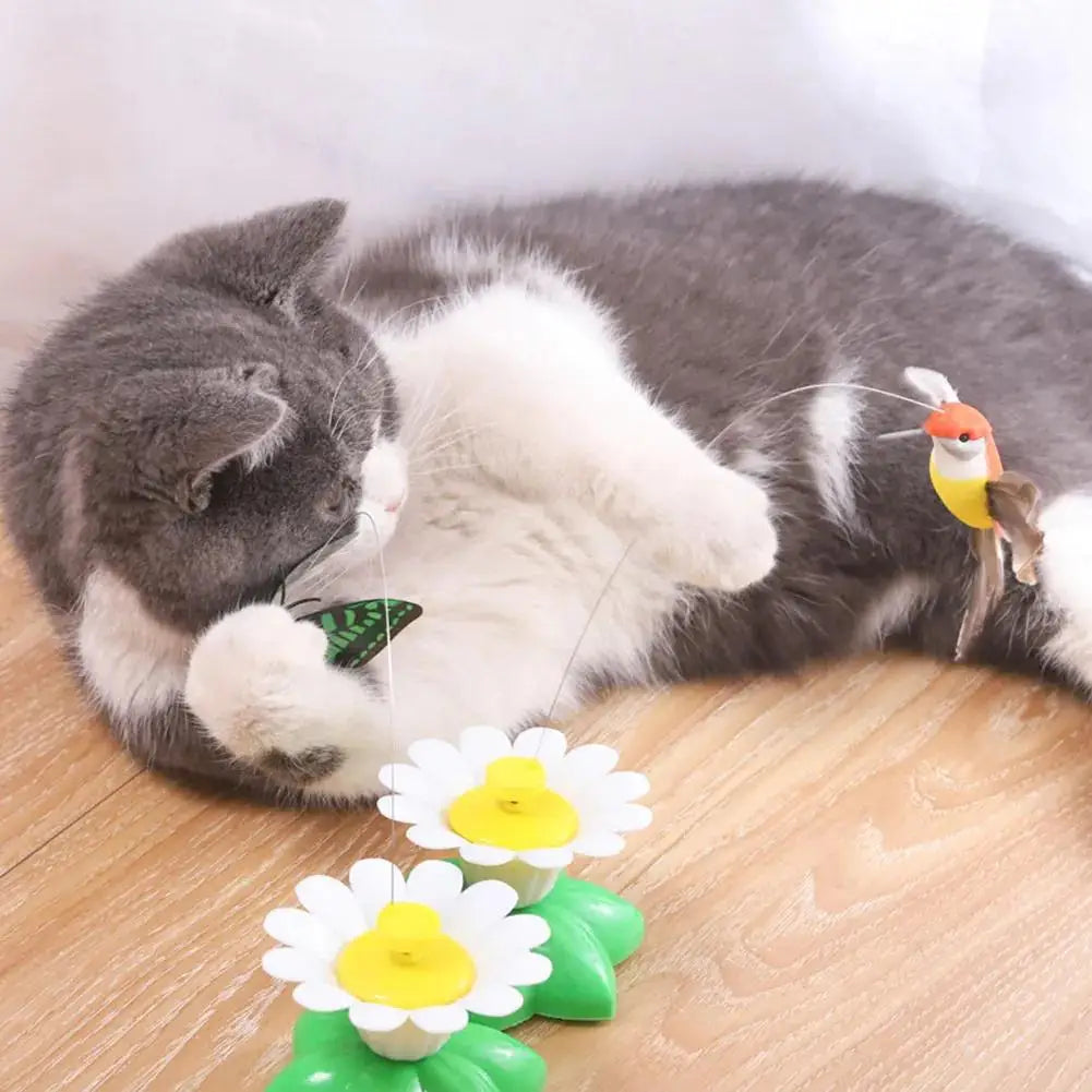 Rotating Electric Butterfly, Hummingbird And Bee Pet New Product Rotating Around Flowers To Cats And Butterflies Pet Toys