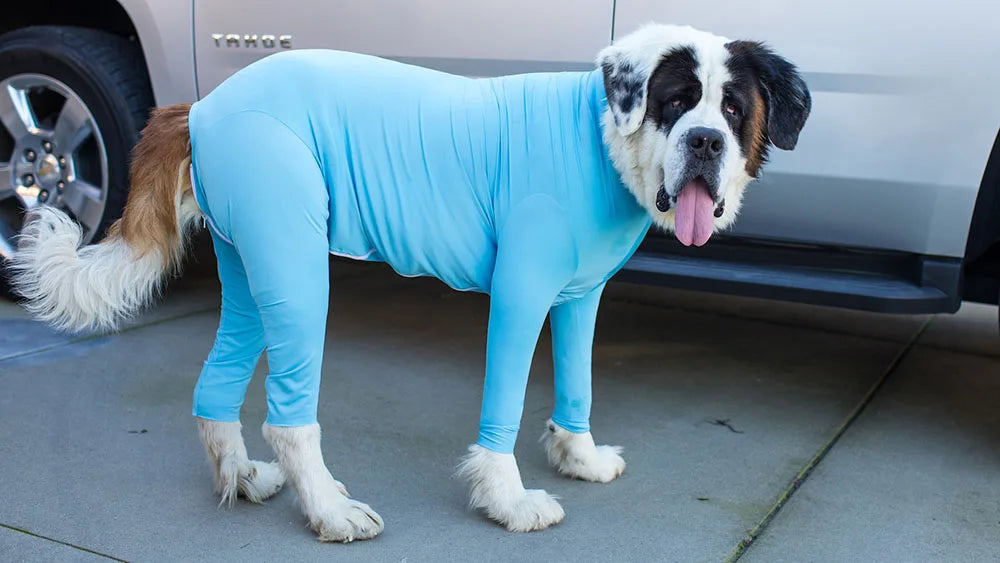 Dog Onesie Clothes Shedding of Dog Hair for Home Car Travel Anxiety Calming Shirt Surgery Recovery Body Jumpsuit for Large Dogs