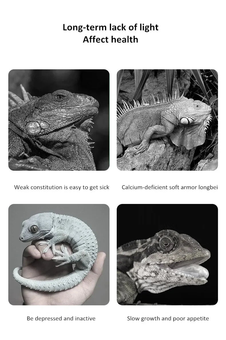 UVA+UVB Reptile Light Full Spectrum 5.0/10.0 Light Bulb LED UV Lamp for Turtle Lizard Snake Heater Bulb Terrarium Lamp 육지거북
