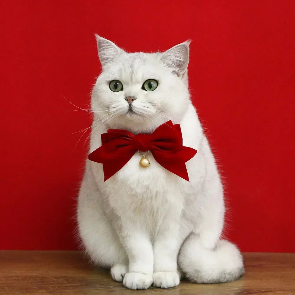 Soft Velvet Cat Collar Breakaway Puppy Kitten Collar Red Pink Bow Small Dog Collar Adjustable Safety Buckle Cat Bow Pet Supplies