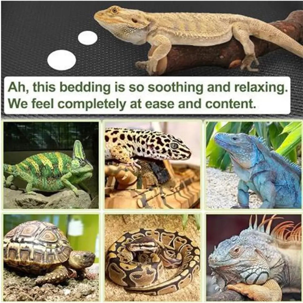 Reptile Carpet Anti-Slip Terrarium Liner Substrate Climbing Animals Breeding For Bearded Turtles Snakes Iguana Tortoises
