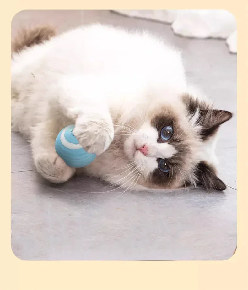 Funny Cat Ball Pet Toy Ball Gravity Rolling Ball Cat Self-Happiness Ball Bite-resistant and Boredom Relieving Automatic Rolling