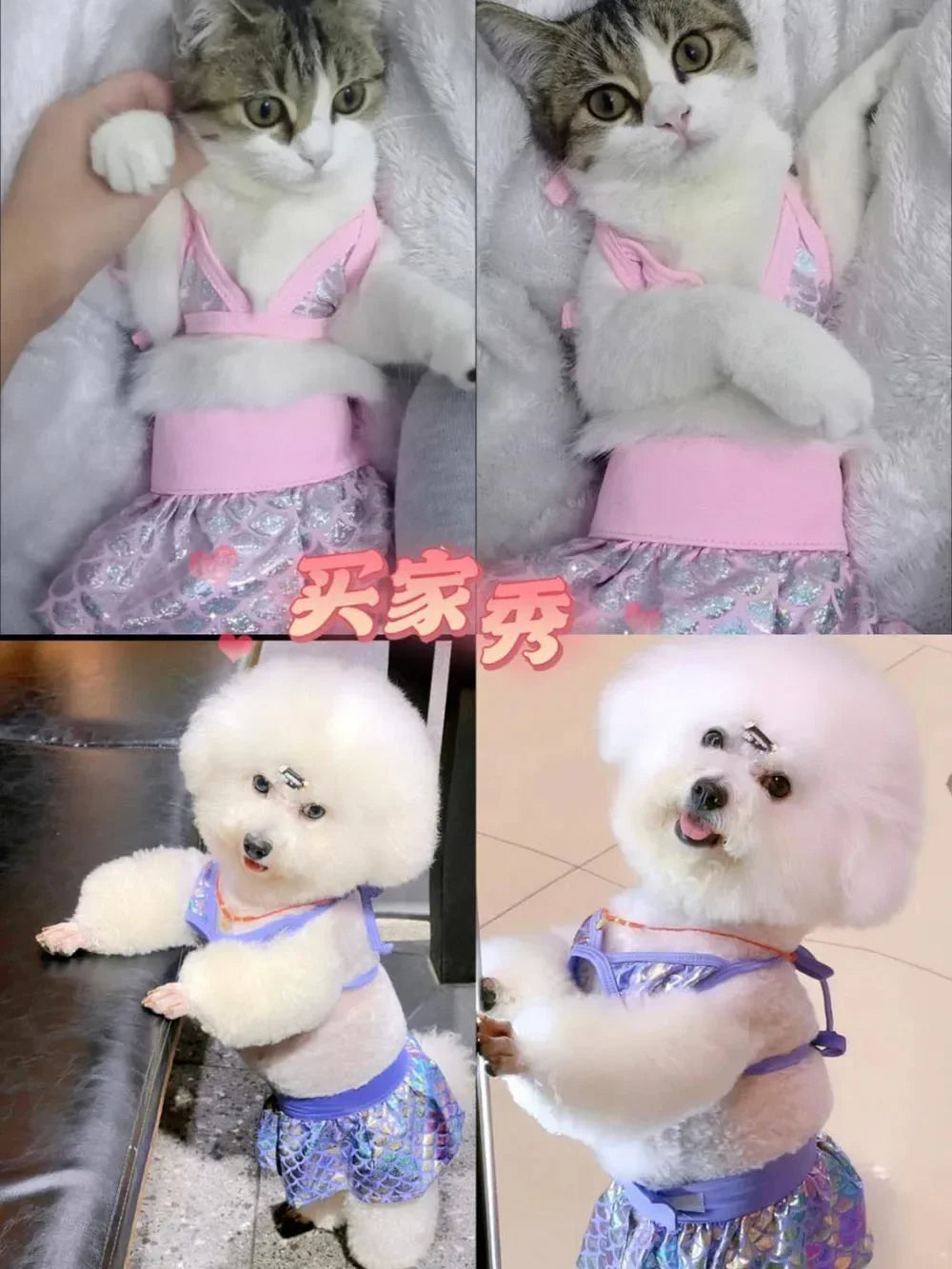 Summer Dog Bikini Set Cute Pet Bikini Swimwear Puppy Dresses Hawaiian Dog Beach Swimsuit for Small Dog Girl Cat Dress in Seaside