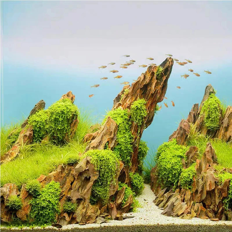 Natural Aquarium Decoration Stone Rockery Landscaping Fish Tank Porous Pine Stone Beautiful Landscape Good for Plants Growth