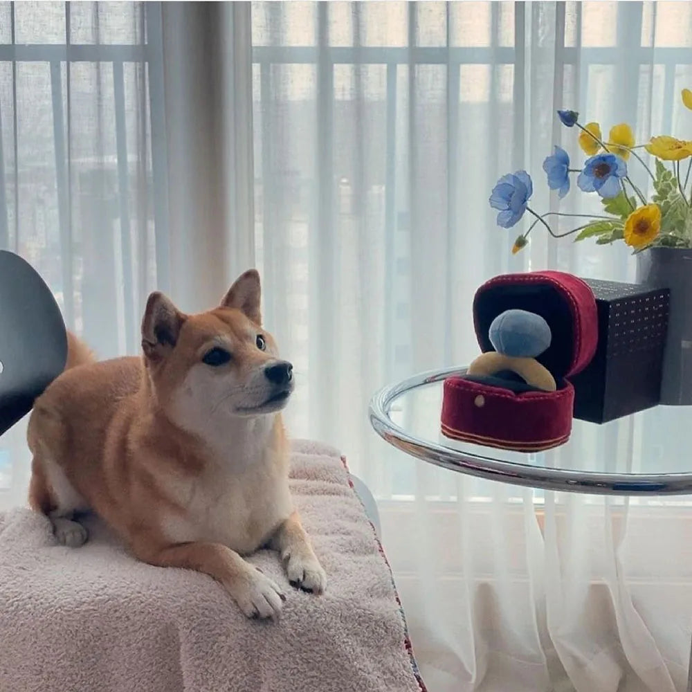 Creative Ring Box Plush Toy Love Diamond Ring Case Stuffed Pet Chew Toy Sounds Puppies Kids Cute Soft Dog Bitter Interested Toys