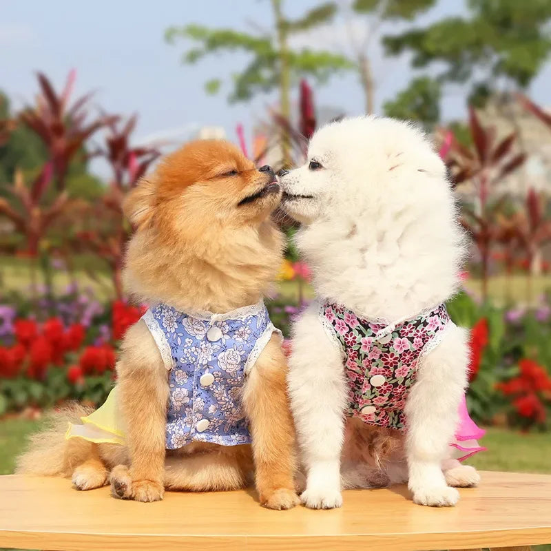 2024 Summer Dress for Dog Pets Clothes Chihuahua Wedding Dress Skirt Cloth Accessory Dog Pet Dress Supplies Hanbok Cat Costume