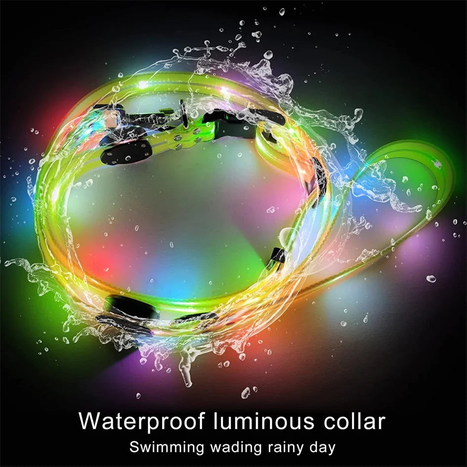 Led Light Up Dog Leash Walking Safety Glow in The Dark USB Rechargeable Adjustable for Large Medium Small Pet Lighted Dog Collar