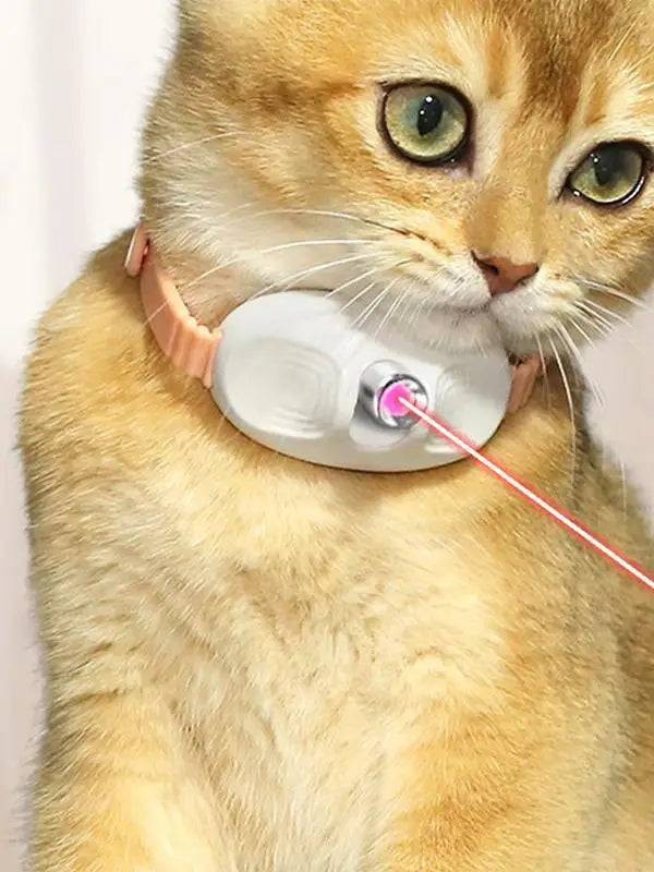 Laser Cat Collar LED Laser Cat Teasing Toy Cat Collar Toy Electric Smart Laser Teasing Cat Interactive Toy Kitten Playing Toy