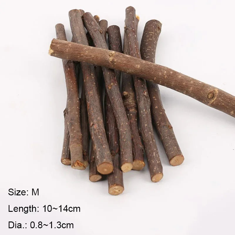 5pcs 10pcs 40pcs Chew Stick Apple Tree Branch Hamster Squirrel Natural Toys Parrots Rabbits Grinding Stick