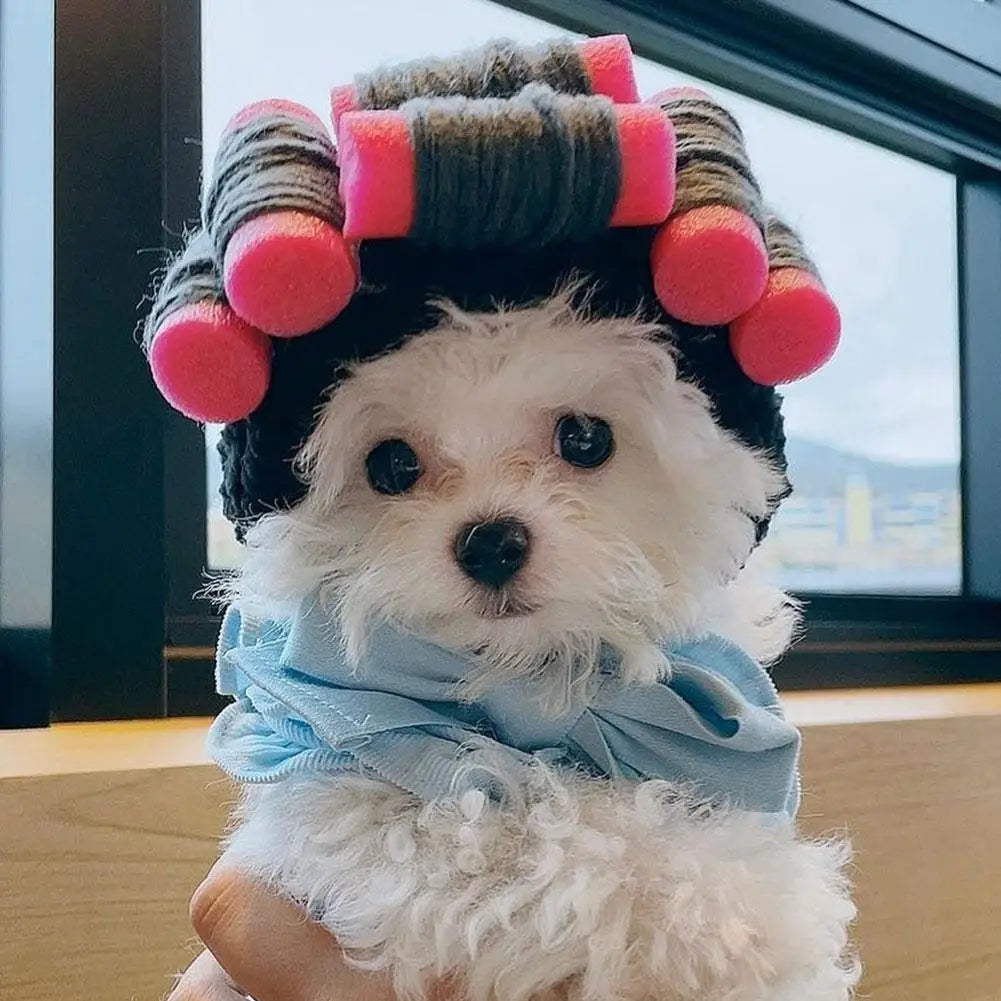 Cute Creative Pet Headdress Halloween Atmosphere Sense Wig Funny Pet Hat Pet Fashion Fun Curly Hair Photo Styling Headband Pet T